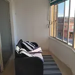 Sea View Calypso * 미하스